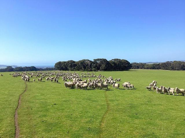 Cottage for sale in Dudley East, Kangaroo Island Council