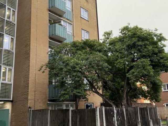 House for rent in Lower Edmonton, Edmonton