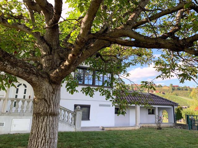 Haus kaufen in Sankt Stefan ob Stainz, Bezirk Deutschlandsberg
