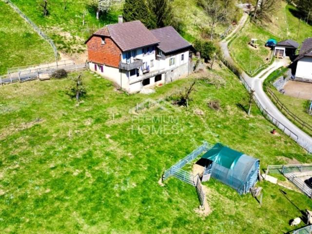 Einfamilienhaus kaufen in Niederbipp, Bern