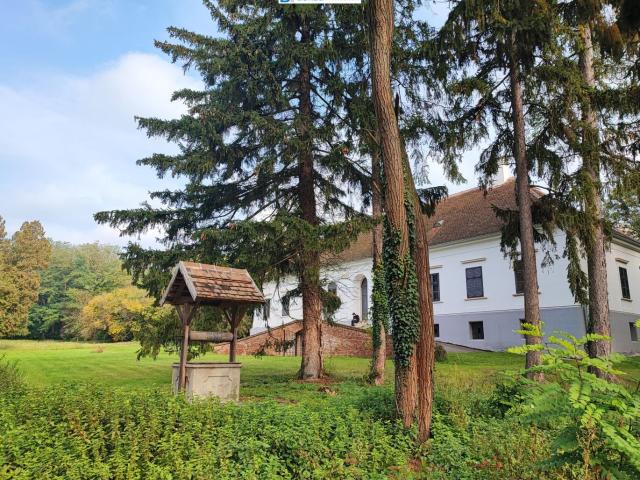 Haus kaufen in Lutzmannsburg