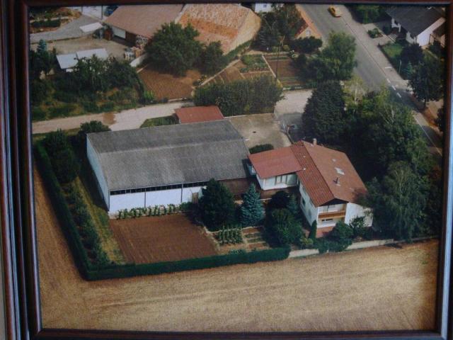Haus kaufen in Armsheim, Rheinland-Pfalz