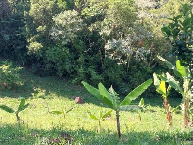 Sítio e chácara venda em Condomínio José Bonifácio, São Francisco de Paula
