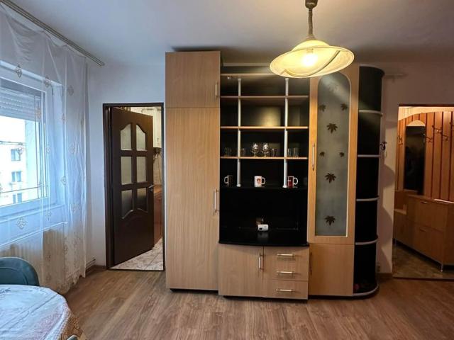 Apartament vânzări în Satu Mare
