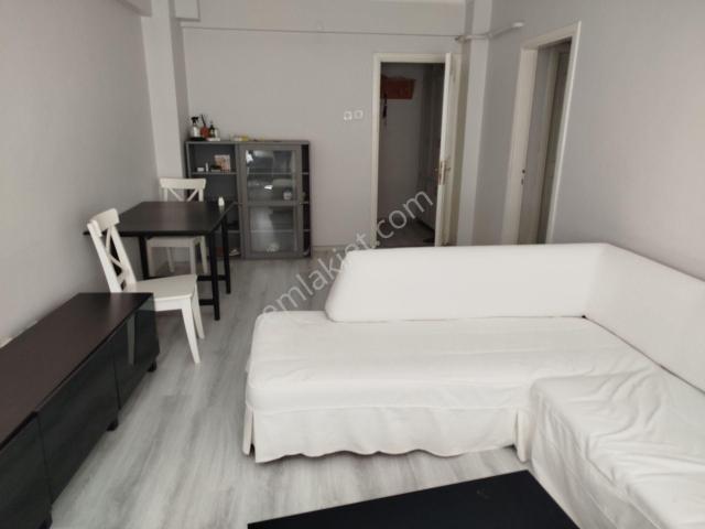 İstanbul Merkez, İstanbul içerisinde kiralık mülk