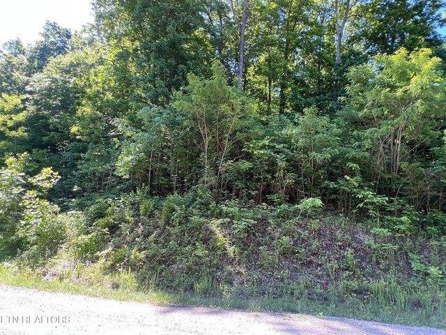 Land for sale in Tennessee
