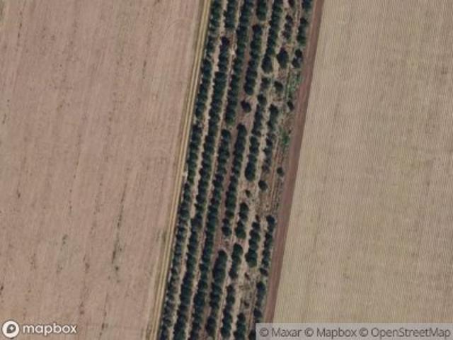 Land for sale in Hidalgo, Texas