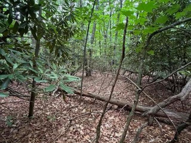 Land for sale in Virginia