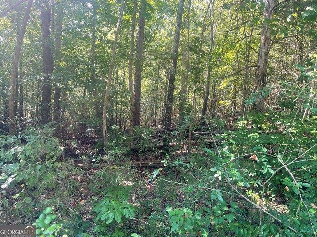 Land for sale in Martin, Stephens County