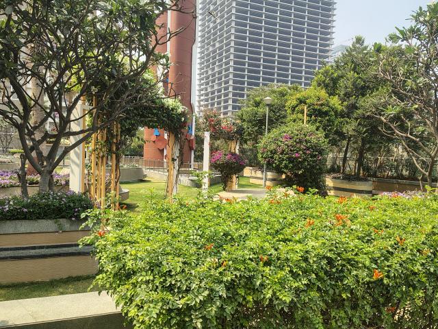 Flat for rent in Haidarabad, Telangana