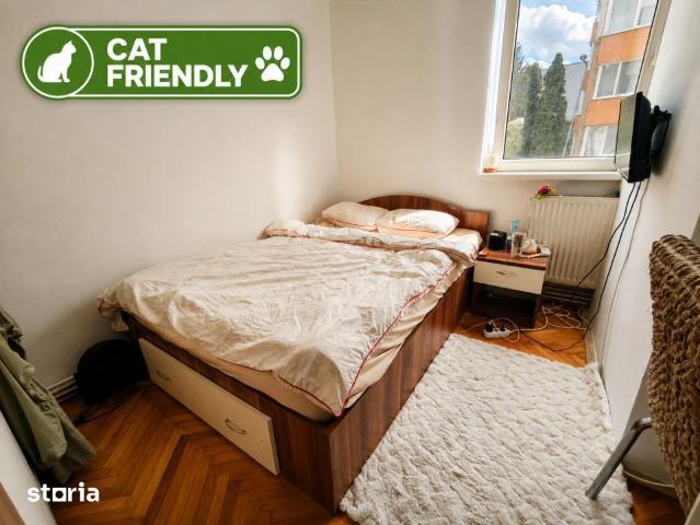Apartament închirieri în Cluj-napoca, Cluj