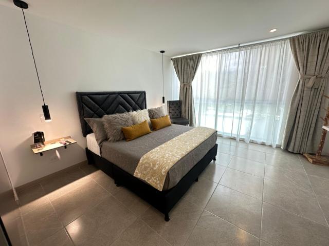 Apartaestudio en arriendo en Centro, Armenia