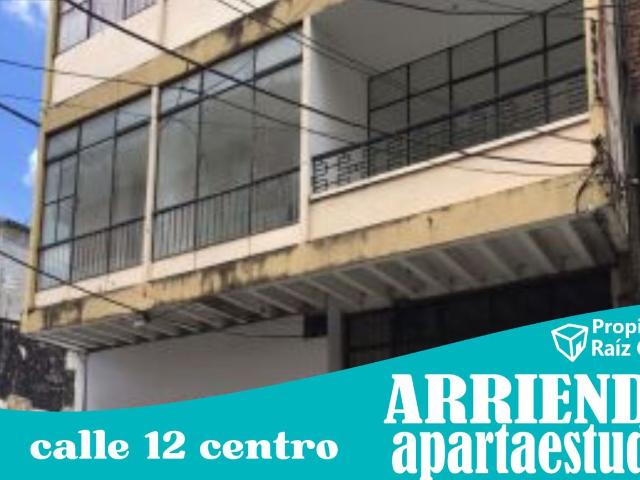 Apartaestudio en arriendo en Centro, Tolima