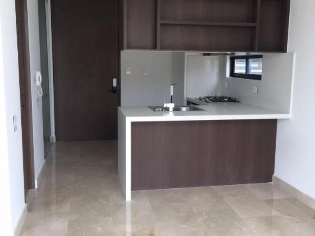 Apartaestudio En Arriendo En Barranquilla En Altos De Riomar A319515