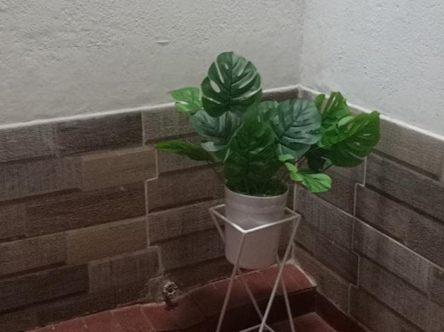 Apartaestudio En Arriendo En Cali En Los Guayacanes A293442