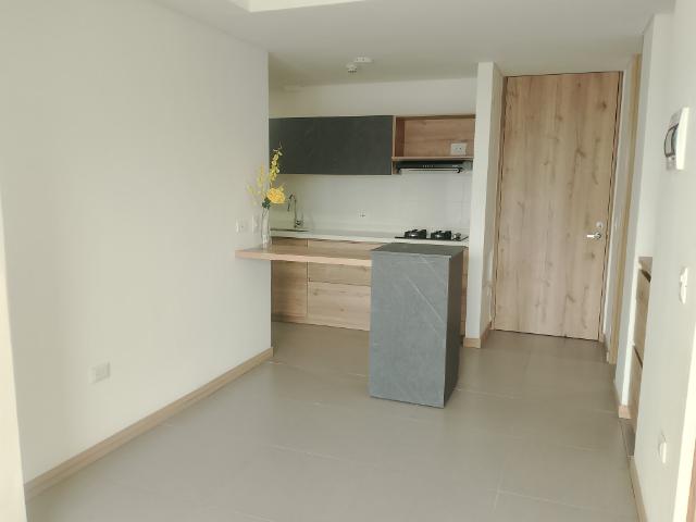 Apartaestudio En Arriendo En Pereira En Pinares A212371