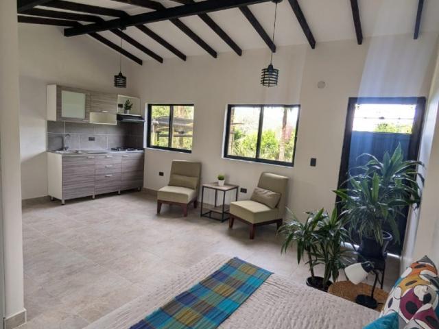 Apartaestudio en arriendo en Magdalena