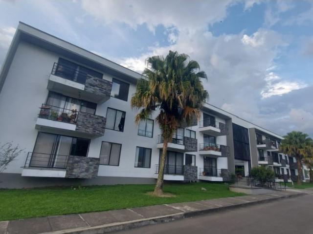 Apartaestudio en arriendo en Armenia, Quindío