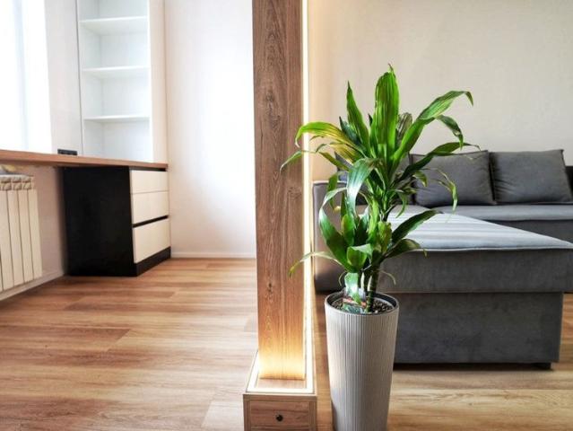 Apartament închirieri în Cluj-napoca, Cluj