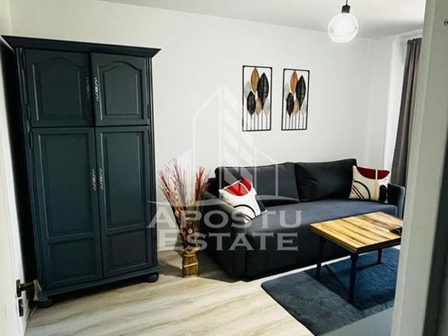 Cameră închirieri în Timisoara, Timiș