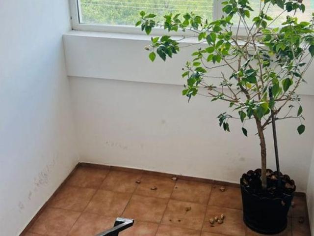 Apartament închirieri în Arad