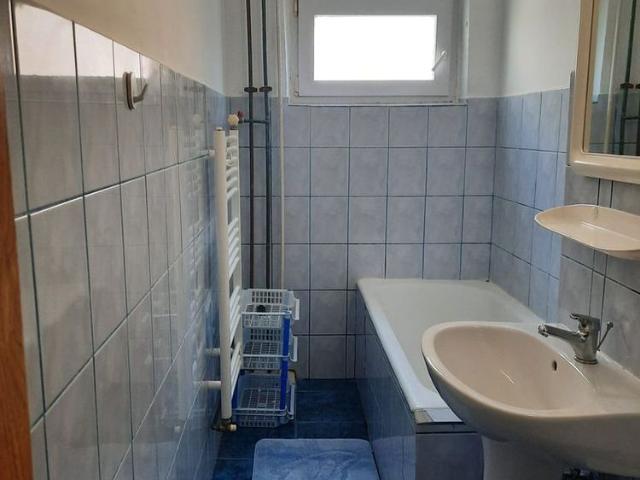 Cameră închirieri în Timisoara, Timiș