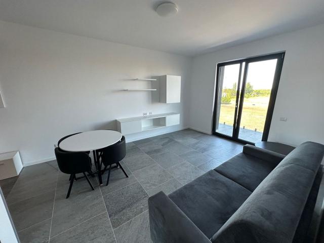 Apartament închirieri în Timisoara, Timiș