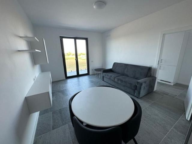 Apartament închirieri în Timisoara, Timiș
