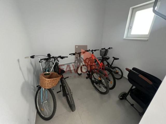 Apartament închirieri în Timisoara, Timiș