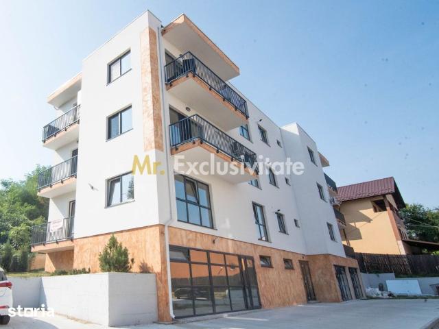 Apartament închirieri în Argeș