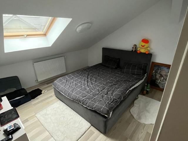 Apartament închirieri în Cluj-napoca, Cluj