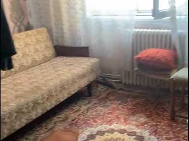 Apartament vânzări în Satu Mare