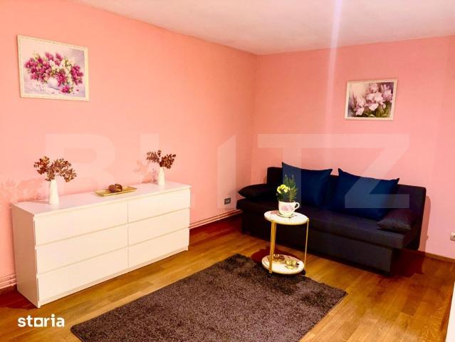 Apartament închirieri în Cetate, Timișoara