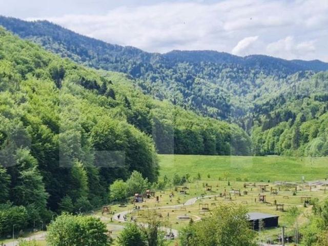 Apartament închirieri în Brașov