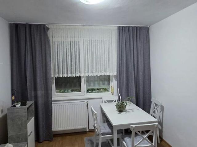 Apartament închirieri în Satu Mare