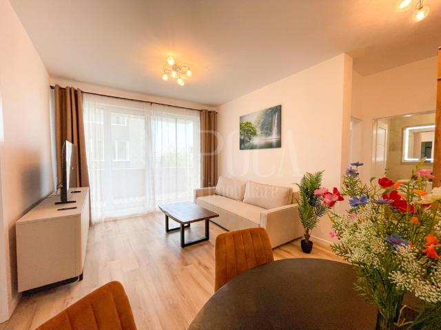 Apartament închirieri în Alba