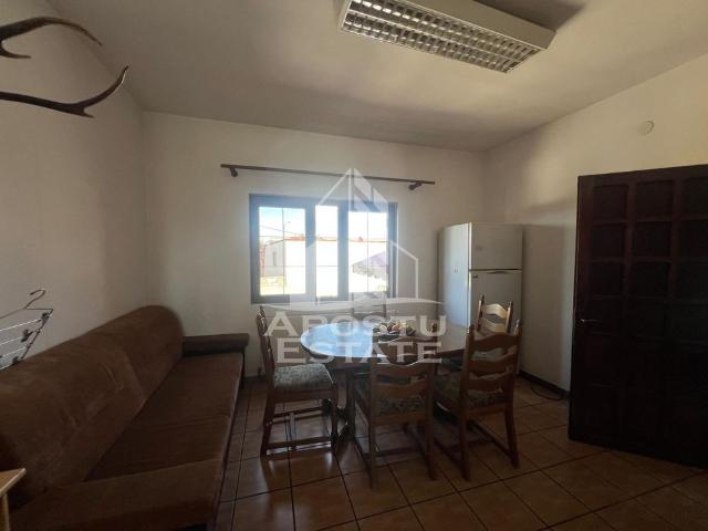 Apartament închirieri în Timisoara, Timiș