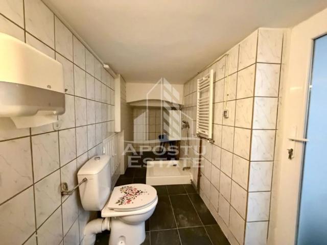 Apartament închirieri în Timisoara, Timiș