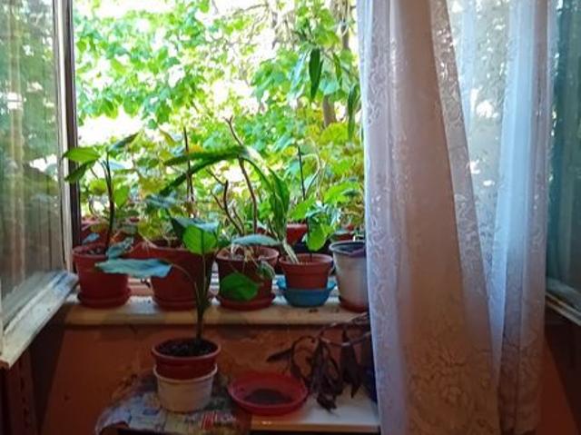 Apartament vânzări în Satu Mare