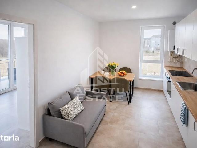 Apartament închirieri în Dumbravita, Timiș