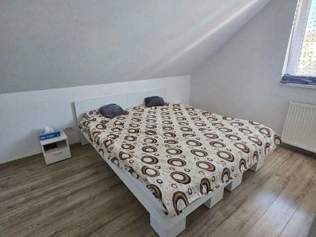 Apartament închirieri în Timisoara, Timiș