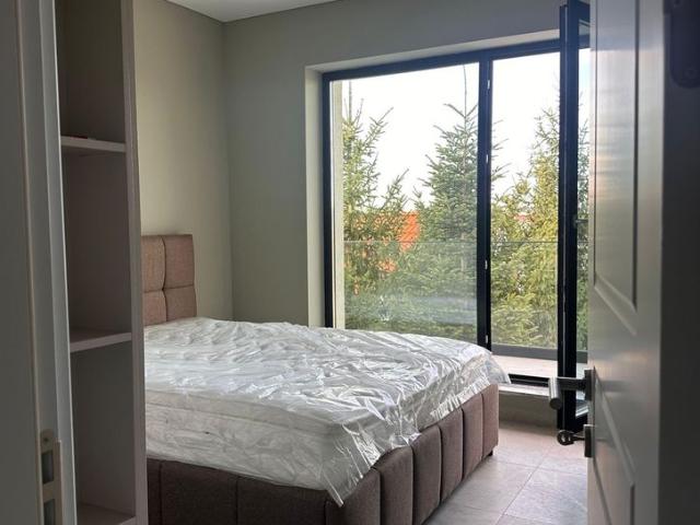 Apartament închirieri în Dârvari, Ciorogârla