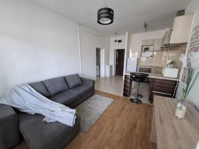 Apartament închirieri în Centru, Iași