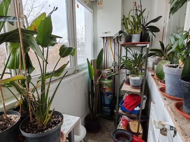 Apartament vânzări în Romani, Argeș