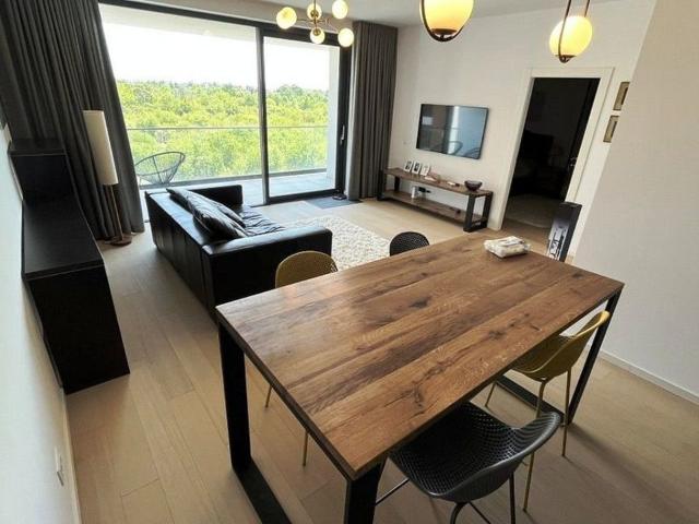 Apartament închirieri în Baneasa, Caraş-severin