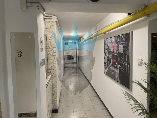 Apartament închirieri în Timisoara, Timiș