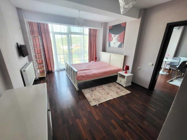 Apartament închirieri în Ciuculești, Bucium