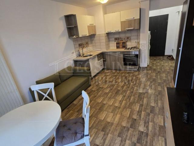 Apartament închirieri în Cluj-napoca, Cluj