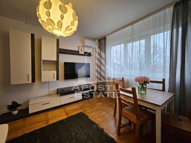 Apartament închirieri în Timisoara, Timiș