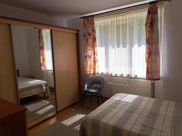 Apartament închirieri în Bacău